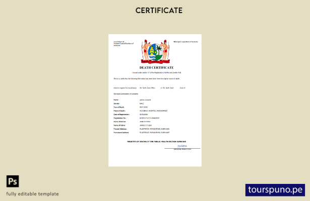 listo para imprimir certificado de defunción de Surinam Plantilla en Word y PDF
